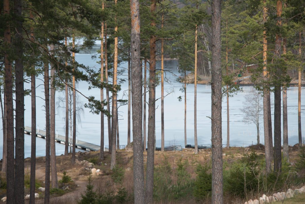 Bygg & Fönster i Tranås AB